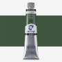Van Gogh : Yağlı Boya : 200 ml : Green Earth