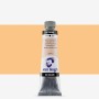 Van Gogh : Yağlı Boya : 40 ml : Naples Yellow Red