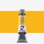 Van Gogh : Yağlı Boya : 40 ml : Azo Yellow Medium