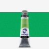 Van Gogh : Yağlı Boya : 40 ml : Permanent Green Medium