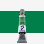 Van Gogh : Yağlı Boya : 40 ml : Permanent Green Deep