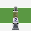 Van Gogh : Yağlı Boya : 40 ml : Sap Green