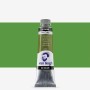 Van Gogh : Yağlı Boya : 40 ml : Sap Green