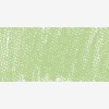 Rembrandt : Soft Pastel Boya : Permanent Green Light : 618.8