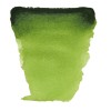 Van Gogh : Yarım Tablet Sulu Boya : Sap Green