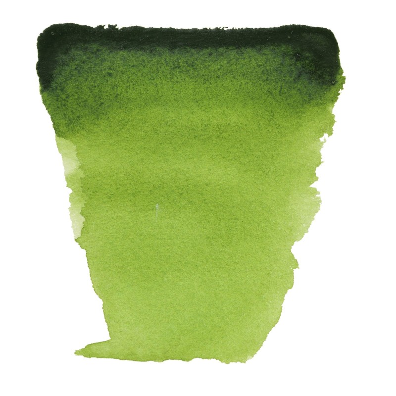 Van Gogh : Yarım Tablet Sulu Boya : Sap Green