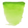 Van Gogh : Yarım Tablet Sulu Boya : Permanent Yellowish Green
