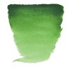 Van Gogh : Yarım Tablet Sulu Boya : Hooker Green Light