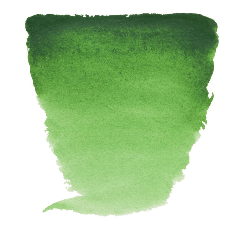 Van Gogh : Yarım Tablet Sulu Boya : Hooker Green Light