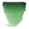 Van Gogh : Yarım Tablet Sulu Boya : Hooker Green Deep